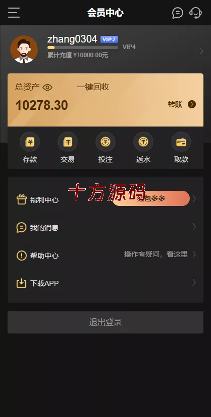 图片[8]-（十方海外源码网出品必属精品）澳门金沙娱乐城海外源码-十方源码网